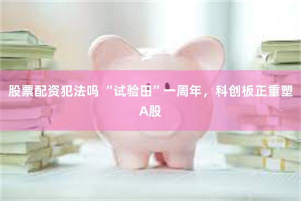 股票配资犯法吗 “试验田”一周年，科创板正重塑A股