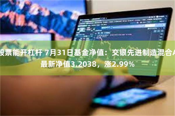 股票能开杠杆 7月31日基金净值：交银先进制造混合A最新净值3.2038，涨2.99%