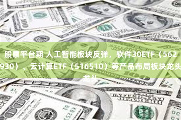 股票平台期 人工智能板块反弹，软件30ETF（562930）、云计算ETF（516510）等产品布局板块龙头