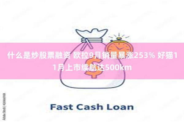 什么是炒股票融资 欧拉9月销量暴涨253% 好猫11月上市续航达500km