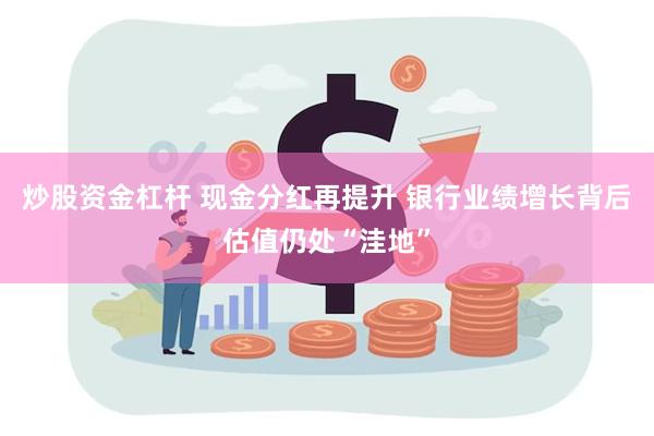 炒股资金杠杆 现金分红再提升 银行业绩增长背后估值仍处“洼地”
