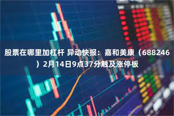 股票在哪里加杠杆 异动快报：嘉和美康（688246）2月14日9点37分触及涨停板