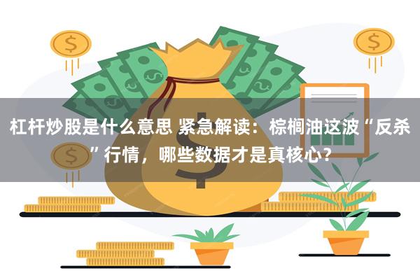 杠杆炒股是什么意思 紧急解读：棕榈油这波“反杀”行情，哪些数据才是真核心？